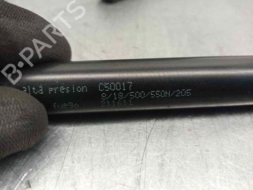 Tailgate lift support RENAULT SCÉNIC II (JM0/1_) 1.5 dCi (JM1E, JM16) | BP20263304C138 
