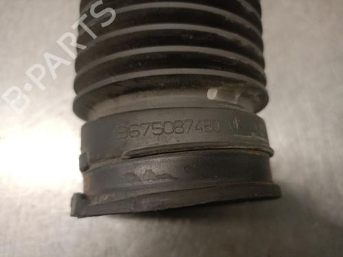Pipe CITROËN DS5 2.0 HDi 200 Hybrid4 All-wheel Drive | BP28042427M125 