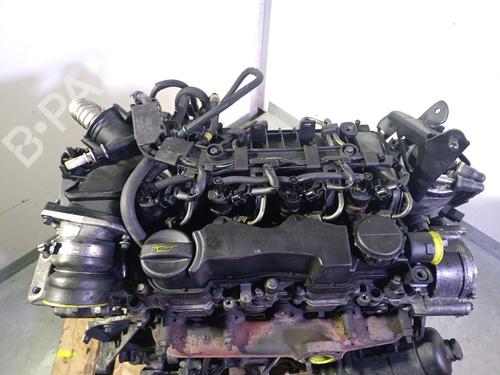 Motor FORD FOCUS II (DA_, HCP, DP) 1.6 TDCi | BP29748079M1 