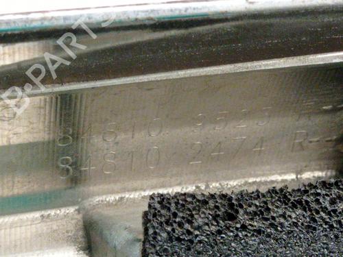 Tailgate handle RENAULT SCÉNIC III (JZ0/1_) 1.6 dCi (JZ00, JZ12) | BP29008051C132 