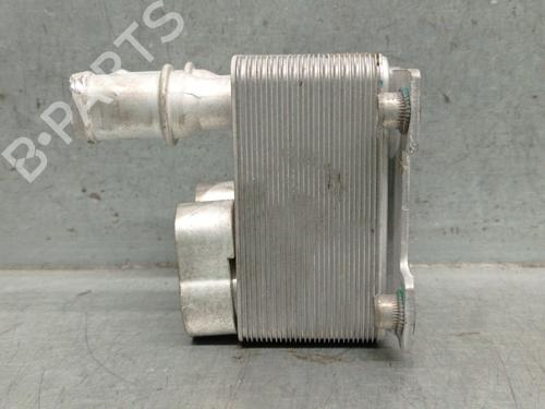 Oliekøler VW TOUAREG (CR7, RC8) 3.0 TSI 4motion | BP30143119M33