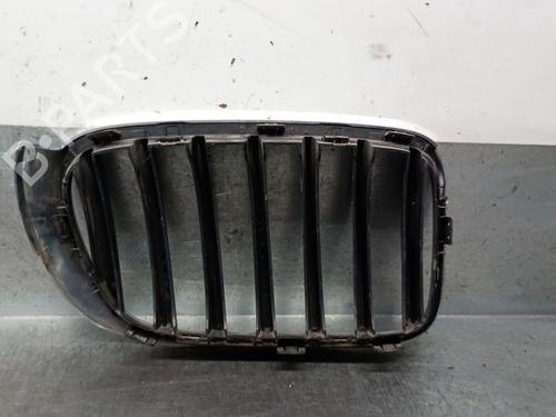 Grille BMW X3 (F25) xDrive 20 d | BP28305169C40 