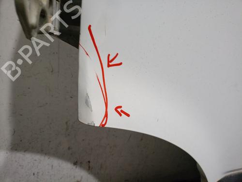 Left front door OPEL MOVANO A Van (X70) 2.8 DTI (FD) | BP29979402C2