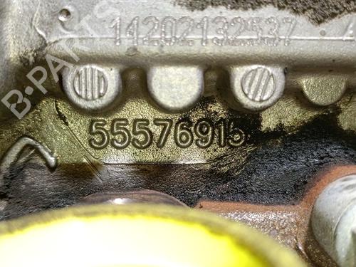 Engine OPEL INSIGNIA A (G09) 2.0 CDTI (68) | BP36161109M1 - Image 14