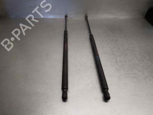 Tailgate lift support LAND ROVER RANGE ROVER SPORT I (L320) 2.7 D 4x4 | BP20266236C138 