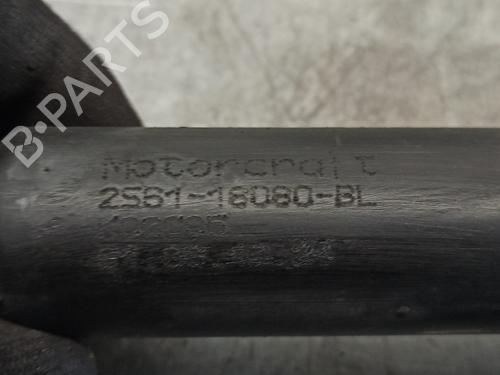Left rear shock absorber FORD FIESTA V (JH_, JD_)  | BP13239145M18 