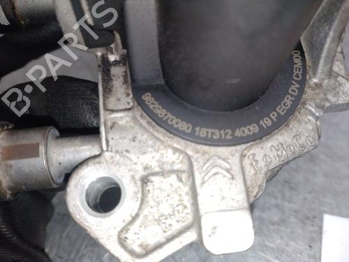 Egr PEUGEOT 3008 II SUV (MC_, MR_, MJ_, M4_) 1.5 BlueHDi 130 | BP32437459M69 