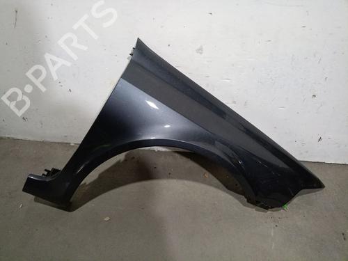 Right front fenders RENAULT LAGUNA II (BG0/1_) 1.9 dCi (BG08, BG0G) 8201094795 | 8201094795