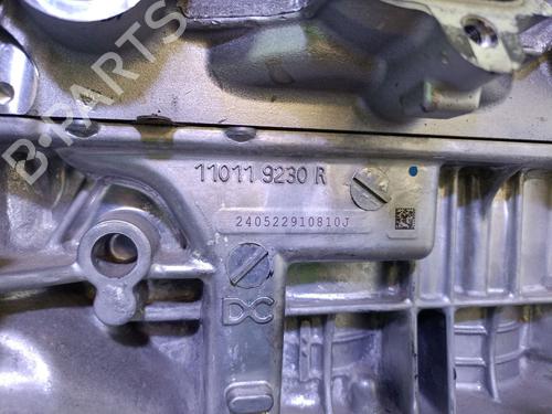 Engine DACIA SANDERO III 1.0 TCe 90 | BP29484392M1 