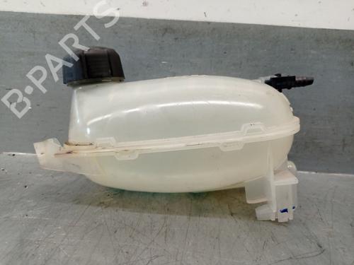 Used Expansion tank NISSAN JUKE (F16_) DIG-T 117 (117 hp) 28619204