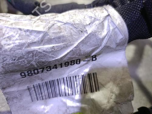 Cable PEUGEOT 3008 I MPV (0U_) 1.2 | BP29285135E12 