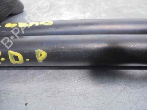 Hood lift support BMW 3 (E46) 320 d | BP20251560C139