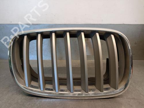 Used Grille Grille BMW X6 (E71, E72) xDrive 35 d (286 hp) 34125928 34125928