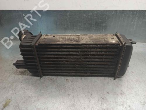 Intercooler FIAT SCUDO Bus (270_, 272_) 1.6 D Multijet | BP7187879M30 