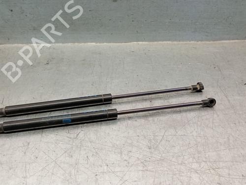 Used Hood lift support LAND ROVER RANGE ROVER SPORT I (L320) 3.0 D 4x4 (256 hp) 25244406