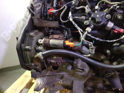 Engine FORD FOCUS II (DA_, HCP, DP) 1.8 TDCi | BP29164373M1