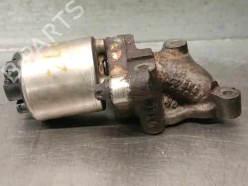 Egr OPEL ZAFIRA A MPV (T98) [1999-2006]  31775355