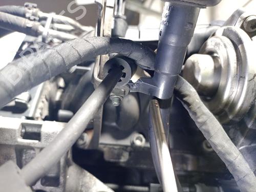 Engine VW TOURAN (1T1, 1T2) 2.0 TDI | BP31611733M1 