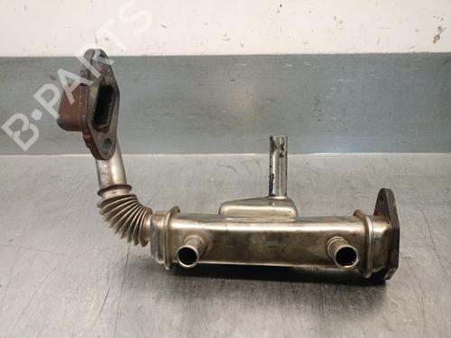 Egr NISSAN PATHFINDER III (R51) 2.5 dCi | BP29866624M69 