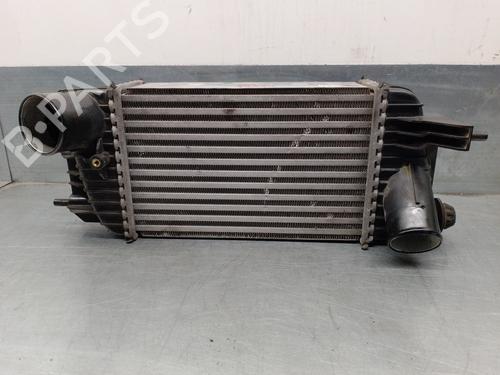 Used Intercooler NISSAN JUKE (F15) 1.6 DIG-T (190 hp) 16413411