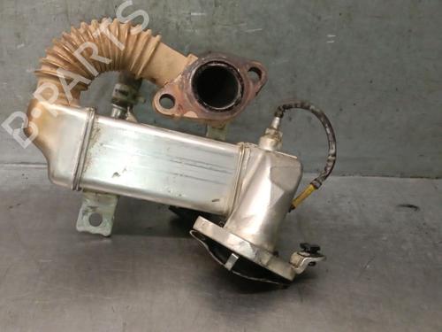 BP31805269M69 main image