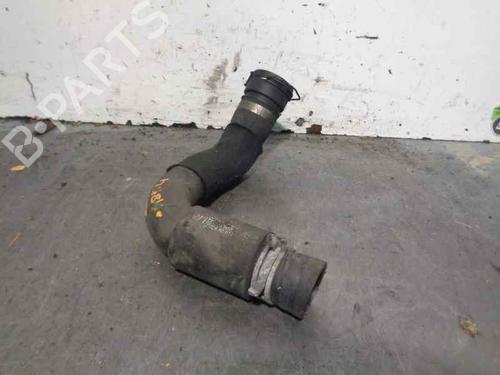 Pipe OPEL OMEGA B Estate (V94) 2.5 DTI (F35, M35, P35) | BP20253135M125 