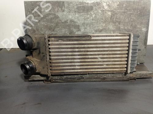 Used Intercooler SANTANA 300/350 1.6 HDi 4x4 (90 hp) 24738924