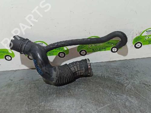 Pipe RENAULT MEGANE I Classic (LA0/1_) 1.6 e (LA0F, LA0S) | BP20254100M125 