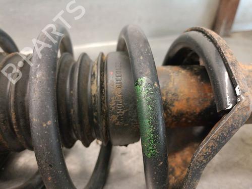 Left rear shock absorber LAND ROVER FREELANDER I (L314) 2.0 Td4 4x4 | BP24200571M18 