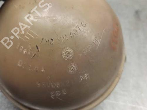 Expansion tank FORD GALAXY I (WGR)  | BP6994406C120 