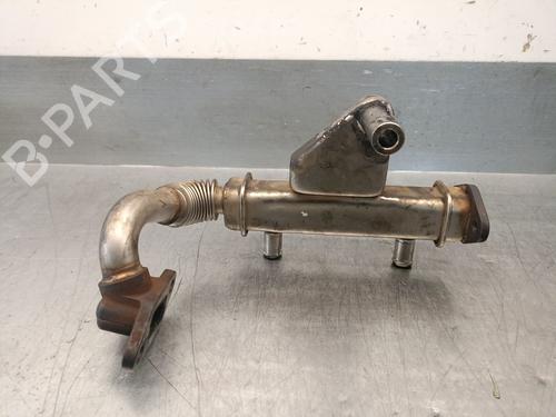 Egr NISSAN PATHFINDER III (R51) 2.5 dCi | BP29866624M69 