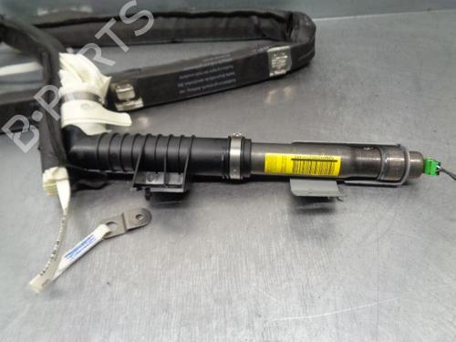 Right curtain airbag NISSAN QASHQAI / QASHQAI +2 I (J10, NJ10, JJ10E) 1.6 | BP13611470C12 
