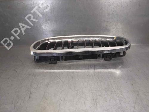 Grille BMW 3 (E90) 320 d | BP11117626C40 