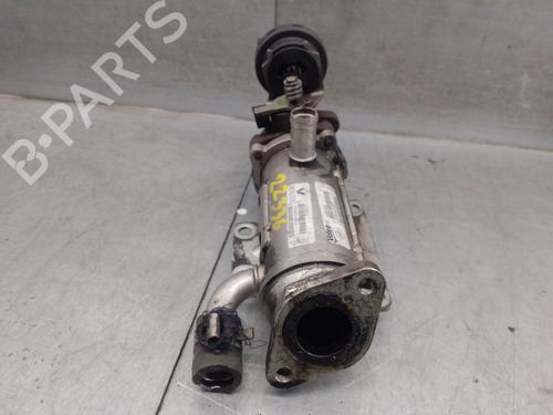 Egr RENAULT SCÉNIC II (JM0/1_) 2.0 dCi (JM1K) | BP27890205M69 
