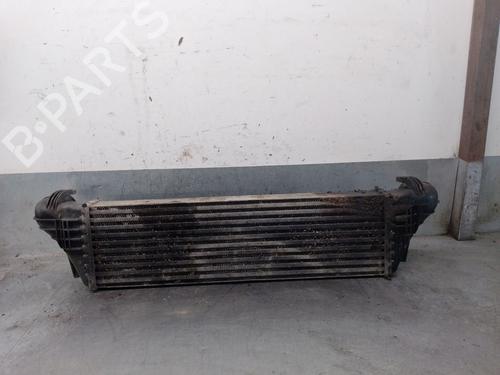 Intercooler BMW X5 (E53) 3.0 d | BP39466638M30 - Image 3