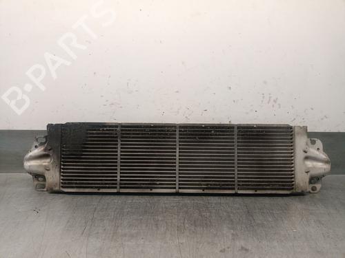 Intercooler VW TRANSPORTER T5 Bus (7HB, 7HJ, 7EB, 7EJ) 1.9 TDI | BP29764022M30 