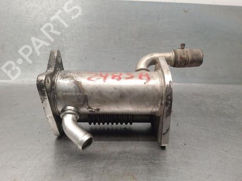 egr-renault-kangoo-express-fw01_-2008-32989722 main image