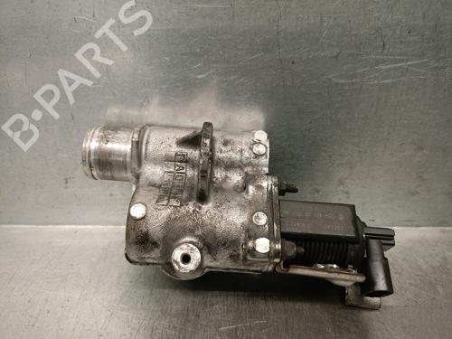 Egr für NISSAN KUBISTAR MPV (X76) 1.5 dCi 70 (68 hp) 31929298