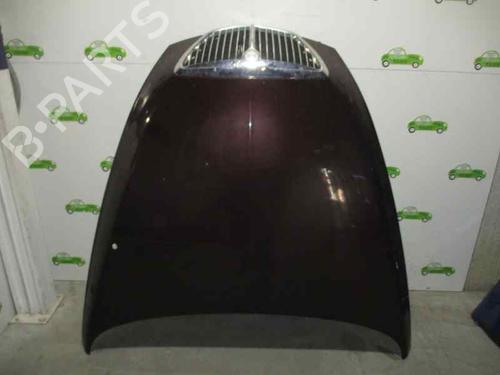 Hood LANCIA THESIS (841_) 2.4 JTD (841AXD1B02) MORADO