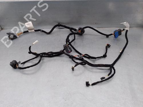 Used Wiring harness Wiring harness ALFA ROMEO GIULIA (952_) 2.2 D (952AFA25, 952AFM25, 952ALA25) (180 hp) 17209599 17209599
