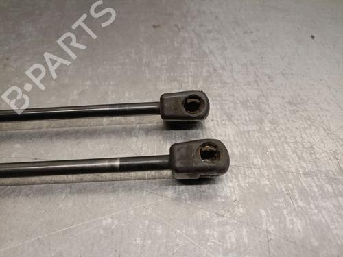 Tailgate lift support FORD FOCUS II (DA_, HCP, DP) 1.6 TDCi | BP22237463C138 