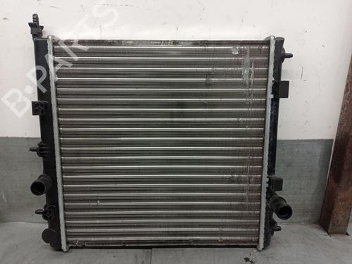 Used Water radiator PEUGEOT 207 (WA_, WC_) 1.4 HDi (70 hp) 30599575