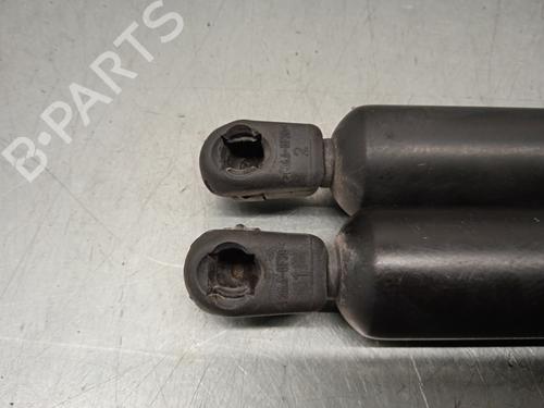 Tailgate lift support SEAT ALHAMBRA (7V8, 7V9) 1.9 TDI | BP20266601C138 