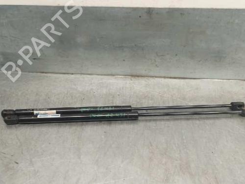 Used Tailgate lift support NISSAN X-TRAIL I (T30) 2.2 dCi 4x4 (136 hp) 20257984