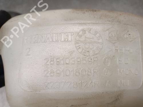 Windscreen washer tank DACIA DOKKER MPV (KE_) 1.5 dCi / Blue dCi 75 (KEAJ, KEAH, KEJW) | BP25243960C113 