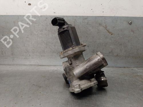 Used Egr FIAT FIORINO Box Body/MPV (225_) 1.3 D Multijet (225BXD1A, 225BXB1A, 225BXB11) (75 hp) 31161209