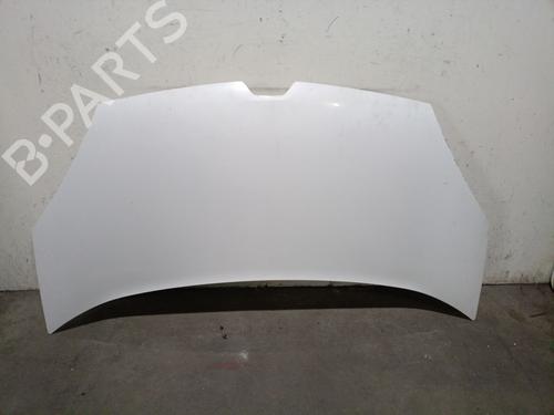 hood-renault-kangoo-express-fw01_-2008-38558003 main image