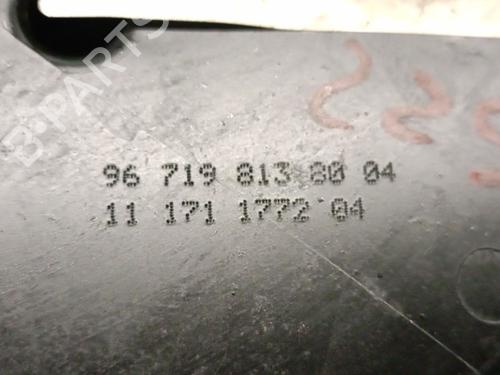 Fuel tank PEUGEOT 3008 I MPV (0U_) 2.0 HDi 150 / BlueHDi 150 | BP25025051C62 