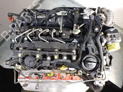 Engine OPEL ASTRA K (B16) 1.6 CDTi (68) | BP39142191M1 - Image 6