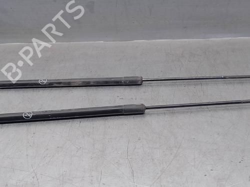 Tailgate lift support FORD C-MAX II (DXA/CB7, DXA/CEU)  | BP17039780C138 